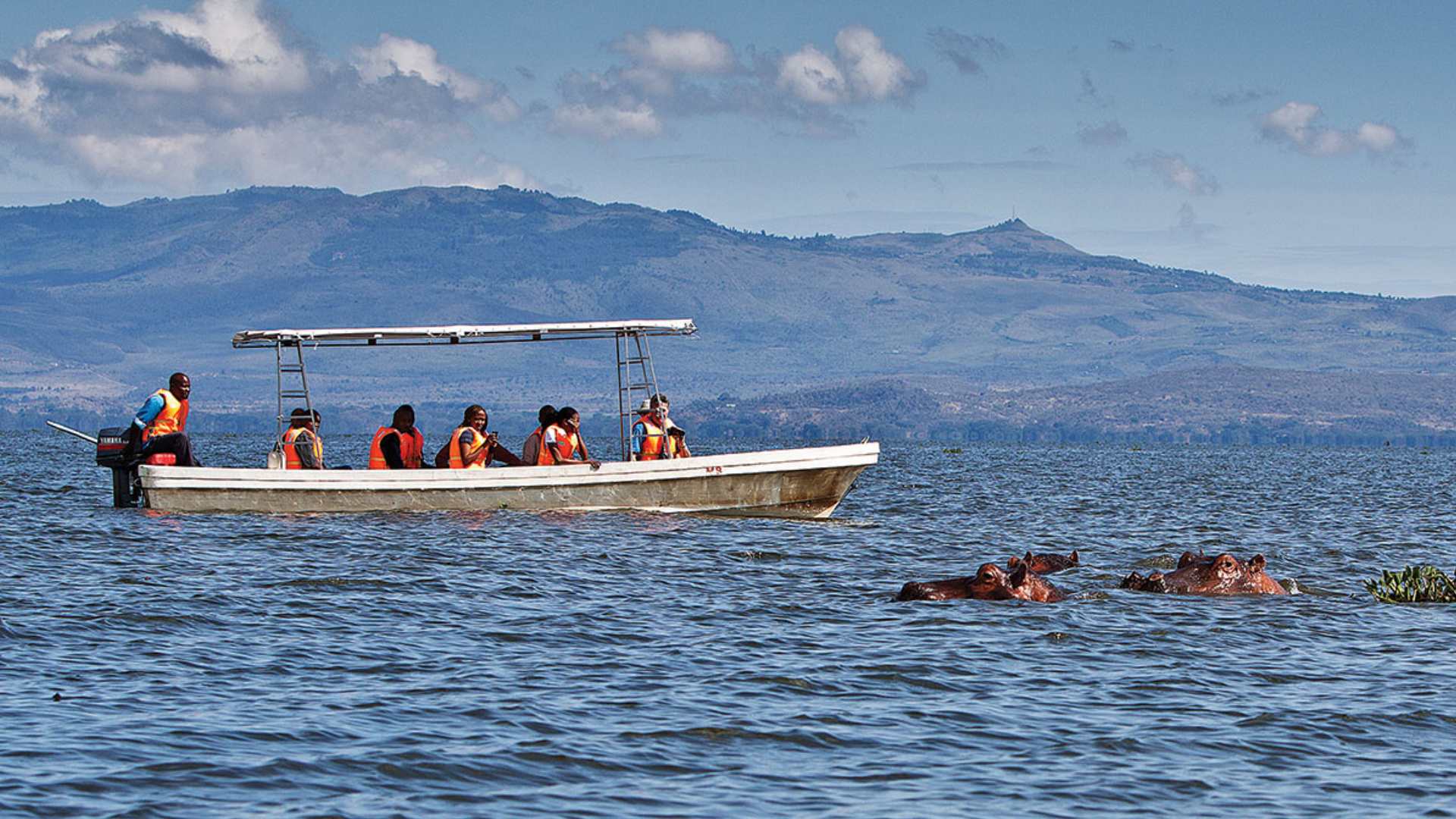 Safari by Land and Lake